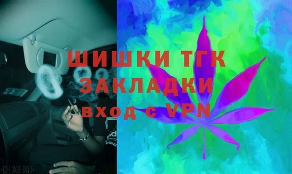 шишки Богородицк